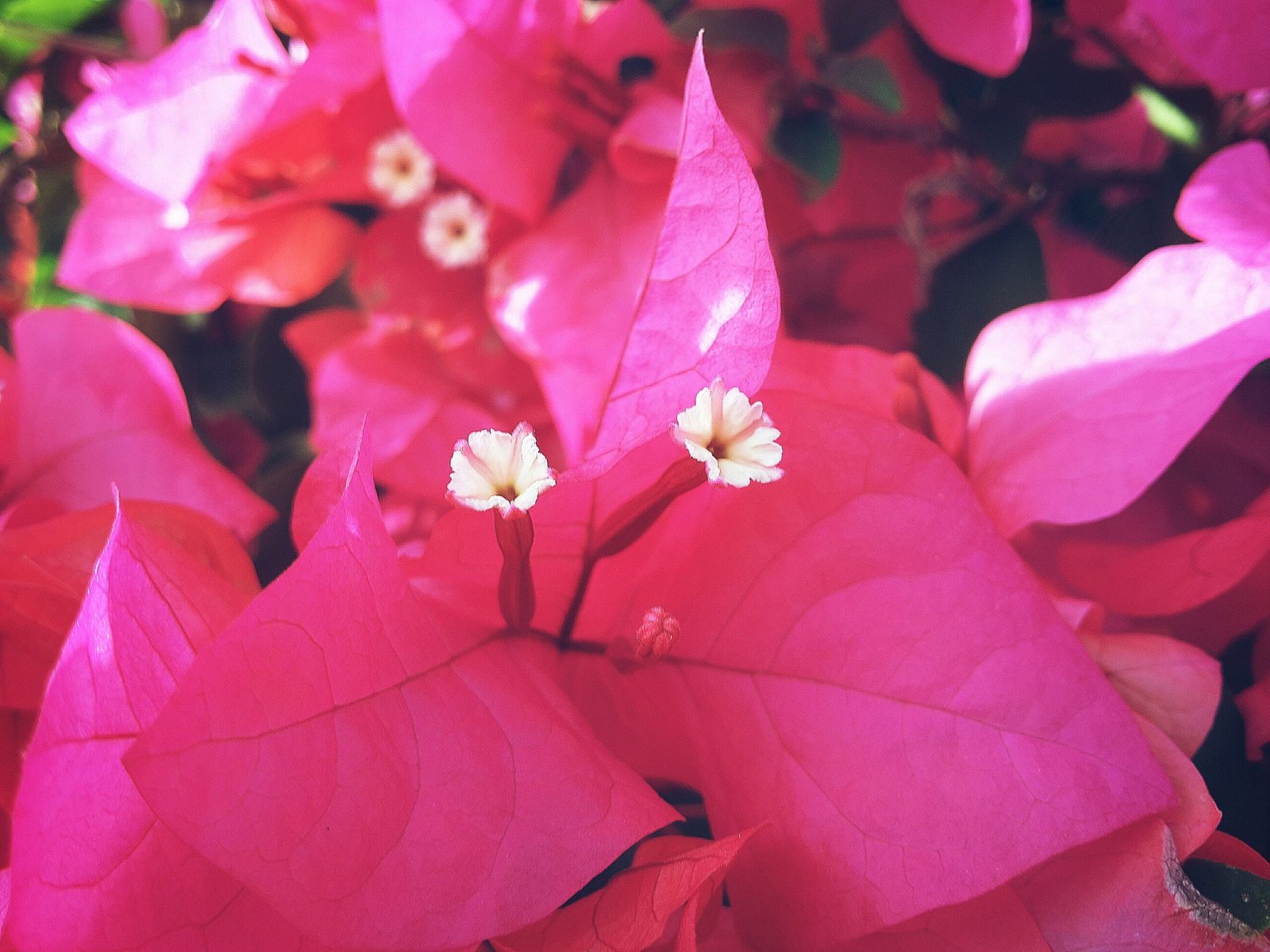 picsart 25 10 07 10 36 31 305