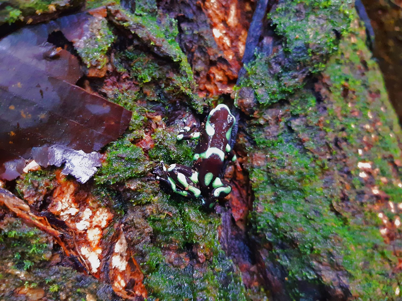 picsart 25 10 07 10 36 31 305